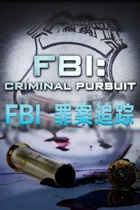 天网：罪案追踪,揭秘罪案背后的科技力量