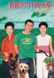 宠物情缘 1999,一段跨越时空的温馨邂逅